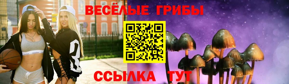 Дзержинский  Псилоцибиновые грибы Psilocybine cubensis  купить наркотики сайты  Вход с VPN 